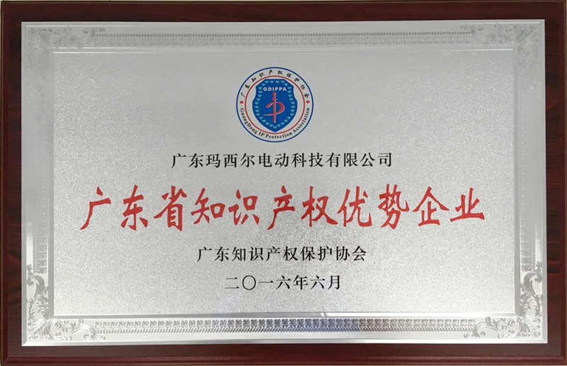 廣東省知識產(chǎn)權(quán)優(yōu)勢企業(yè)
